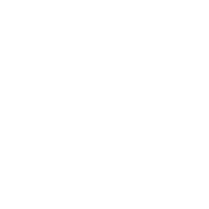 Global Risk Profile